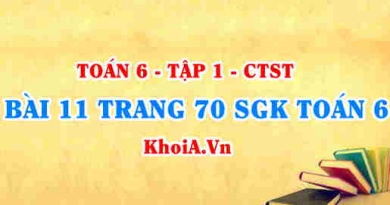 Bài 11 trang 70 SGK Toán 6 Chân trời sáng tạo Tập 1